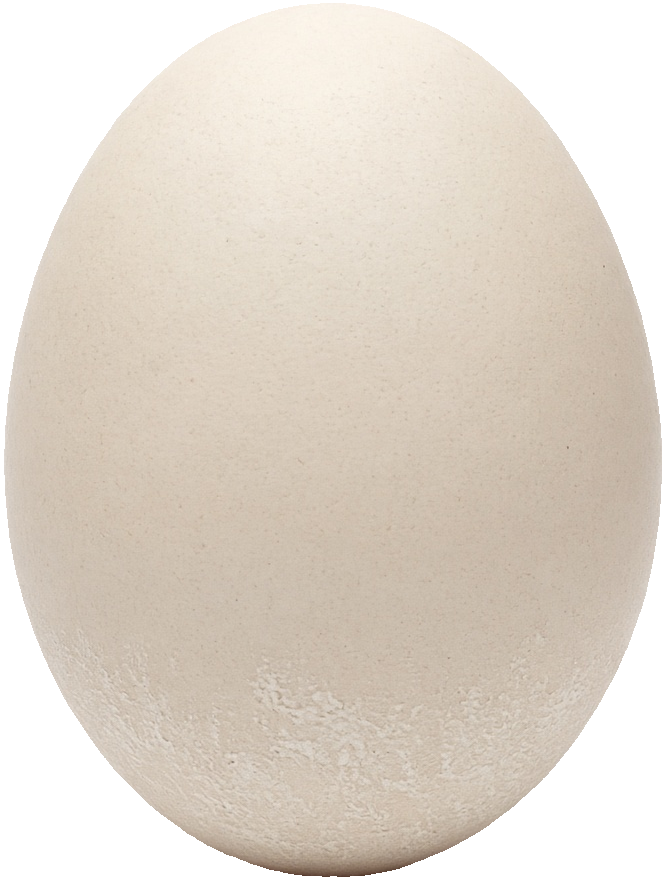 The Egg of Columbus